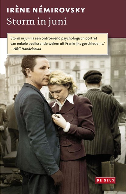 Storm in juni, Irène Némirovsky - Ebook - 9789044522426