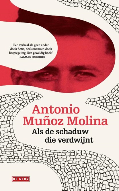 Als de schaduw die verdwijnt, Antonio Muñoz Molina - Paperback - 9789044538717