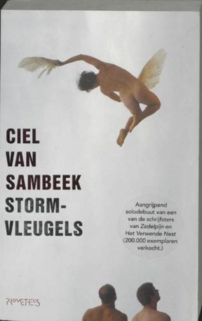 Stormvleugels, SAMBEEK, Ciel van - Paperback - 9789044608373
