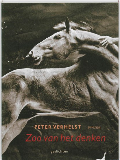 Zoo van het denken, Peter Verhelst - Paperback - 9789044617573