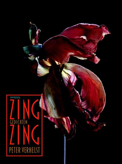 Zing Zing, Peter Verhelst - Paperback - 9789044629699