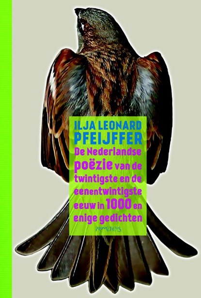 De Nederlandse poëzie van de twintigste en de eenentwintigste eeuw in 1000 en enige gedichten, Ilja Leonard Pfeijffer - Gebonden - 9789044631975