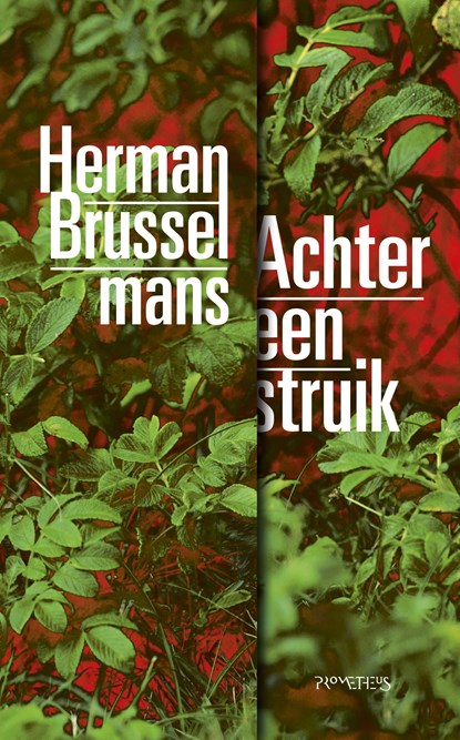 Achter een struik, Herman Brusselmans - Ebook - 9789044637571