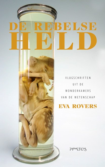 De rebelse held, Eva Rovers - Paperback - 9789044638820