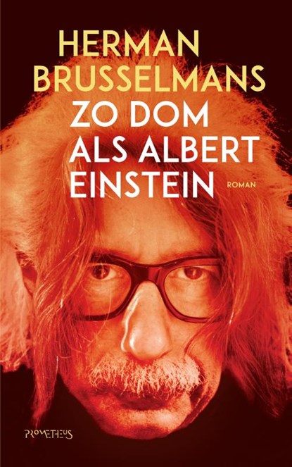 Zo dom als Albert Einstein, Herman Brusselmans - Paperback - 9789044640038