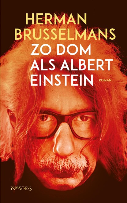 Zo dom als Albert Einstein, Herman Brusselmans - Ebook - 9789044640045