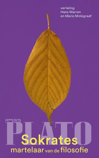 Sokrates, martelaar van de filosofie, Plato - Paperback - 9789044641950