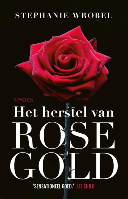 Het herstel van Rose Gold, Stephanie Wrobel - Paperback - 9789044643749