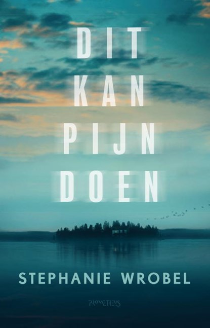 Dit kan pijn doen, Stephanie Wrobel - Paperback - 9789044644135