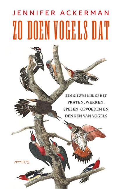 Zo doen vogels dat, Jennifer Ackerman - Paperback - 9789044645910