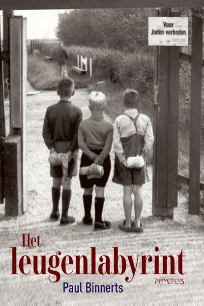 Het leugenlabyrint, Paul Binnerts - Paperback - 9789044647259