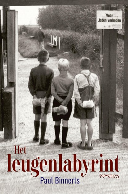 Het leugenlabyrint, Paul Binnerts - Ebook - 9789044647266