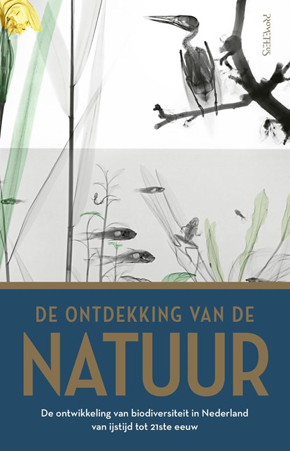 Ontdekking van de natuur, Jan Luiten van Zanden ; Thomas van Goethem ; Rob Lenders ; Joop Schaminée - Ebook - 9789044647358