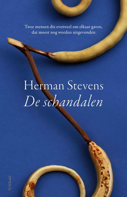 De schandalen, Herman Stevens - Ebook - 9789044648195