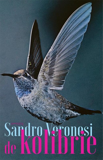 De kolibrie, Sandro Veronesi - Paperback - 9789044649055