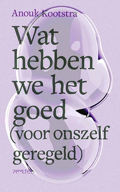 Wat hebben we het goed (voor onszelf geregeld), Anouk Kootstra - Paperback - 9789044649383