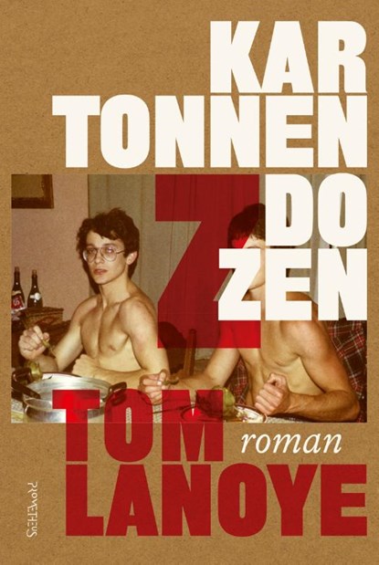 Kartonnen dozen, Tom Lanoye - Paperback - 9789044650662