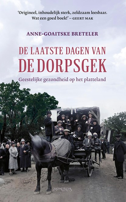 De laatste dagen van de dorpsgek, Anne-Goaitske Breteler - Ebook - 9789044651997