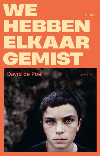 We hebben elkaar gemist, David de Poel - Ebook - 9789044657371
