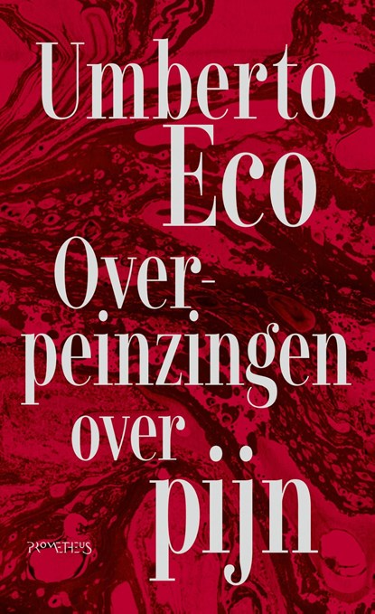 Overpeinzingen over pijn, Umberto Eco - Ebook - 9789044661903