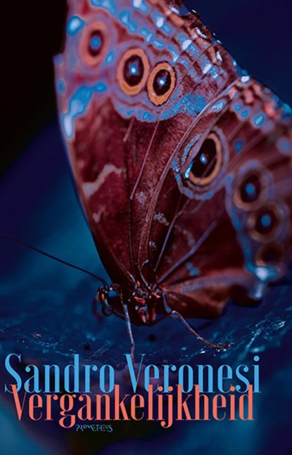 Vergankelijkheid, Sandro Veronesi - Gebonden - 9789044661941