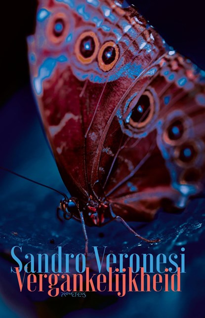Vergankelijkheid, Sandro Veronesi - Ebook - 9789044661958