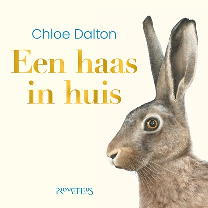 Een haas in huis, Chloe Dalton - Luisterboek MP3 - 9789044662115