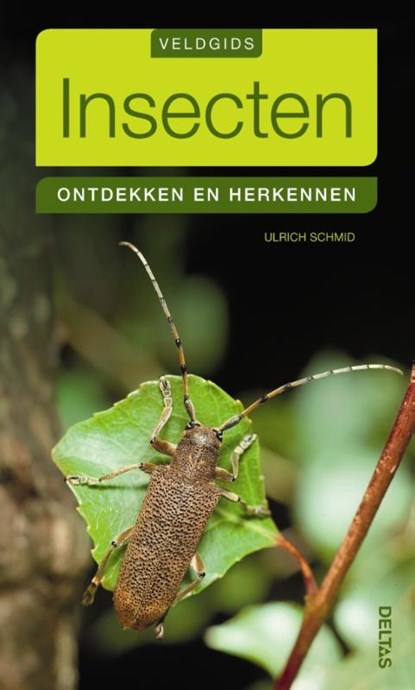 Insecten, Ulrich Schmid - Paperback - 9789044732047