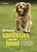 De leukste spelletjes met uw hond, Alison Smith - Paperback - 9789044734058