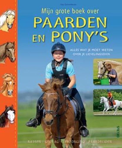 Mijn grote boek over paarden en pony s, Ute Ochsenbauer - Gebonden - 9789044736151