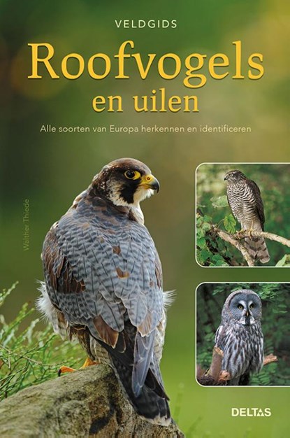 Roofvogels en uilen, Walther Thiede - Paperback - 9789044752540