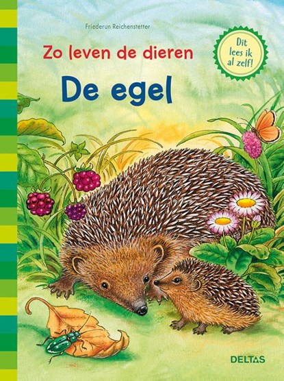 De egel, Friederun Reichenstetter - Gebonden - 9789044754193