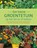 Een kleine groentetuin op het terras of balkon, Nellie TOURMENTE ; Pierre TOURMENTE - Paperback - 9789044757897