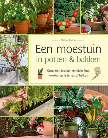 Een moestuin in potten & bakken, Philippe Asseray - Paperback - 9789044760033