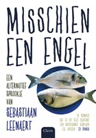 Misschien een engel | Sebastiaan Leenaert | 