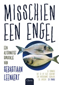 Misschien een engel | Sebastiaan Leenaert | 