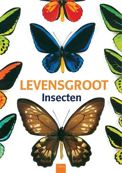 Levensgroot. Insecten, Minori Kosugi - Gebonden - 9789044819991