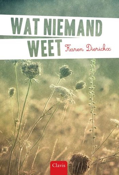 Wat niemand weet, Karen Dierickx - Gebonden - 9789044820638