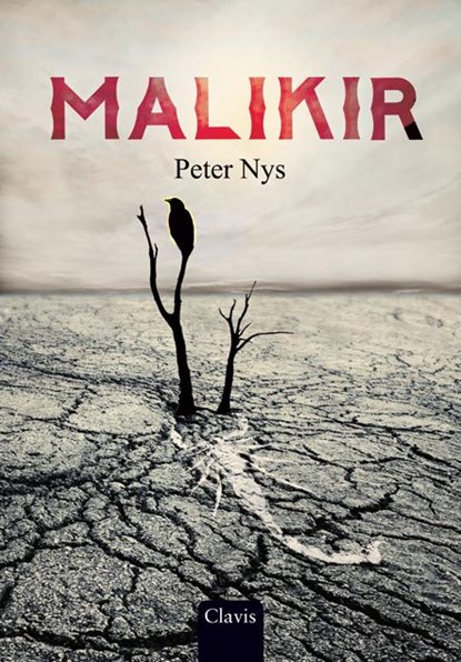 Malikir, Peter Nys - Gebonden - 9789044820720
