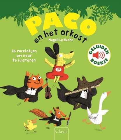 Paco en het orkest, Magali Le Huche - Gebonden - 9789044824247