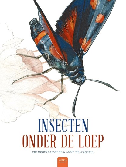 Insecten onder de loep, Francois Lasserre - Gebonden - 9789044832068