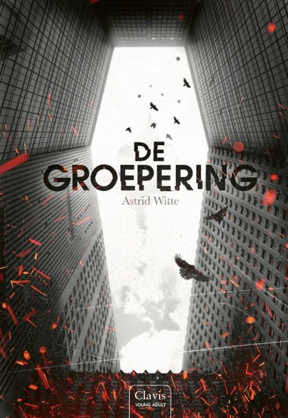 De groepering, Astrid Witte - Gebonden - 9789044833737