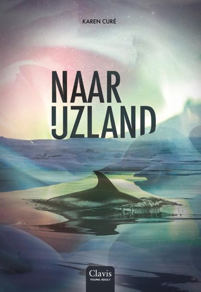 Naar IJzland, Karen Curé - Gebonden - 9789044848588