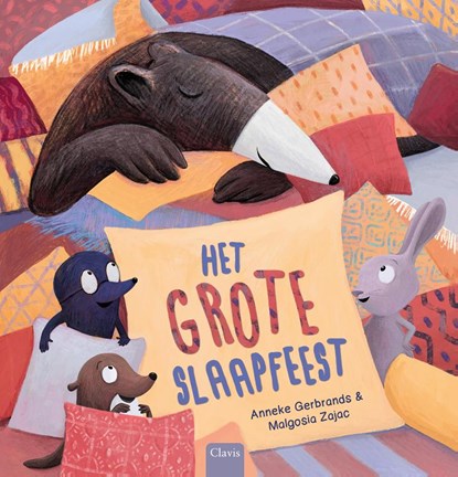 Het grote slaapfeest, Anneke Gerbrands - Gebonden - 9789044853490