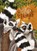 Wild van elkaar, Jessie Jans - Gebonden - 9789044859454