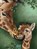 Notebook Wild van mama, Jessie Jans - Gebonden - 9789044859768