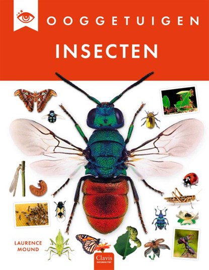 Insecten, Laurence Mound - Gebonden - 9789044861273