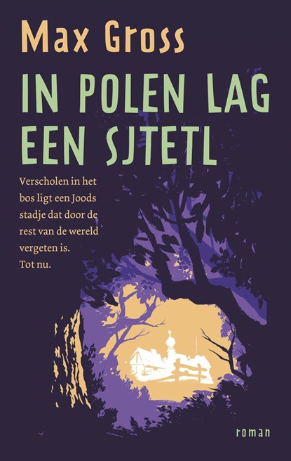 In Polen lag een sjtetl, Max Gross - Ebook - 9789044932638