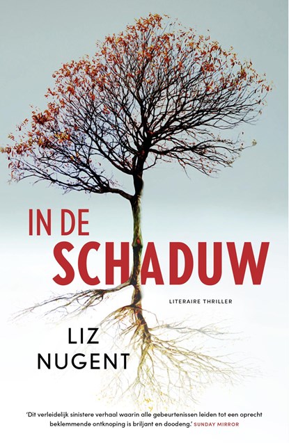 In de schaduw, Liz Nugent - Ebook - 9789044935226