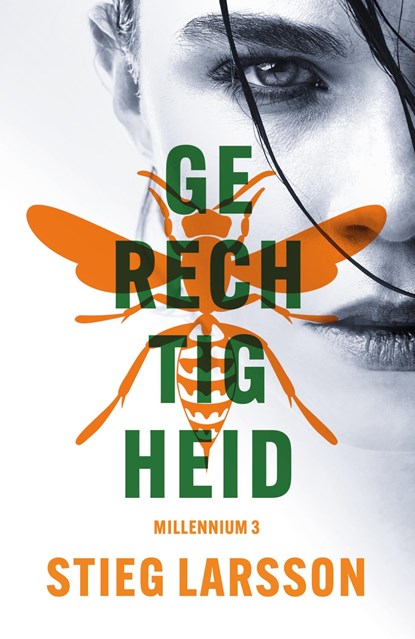 Gerechtigheid, Stieg Larsson - Ebook - 9789044962444